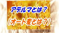 アデルマとは?オート麦とは?