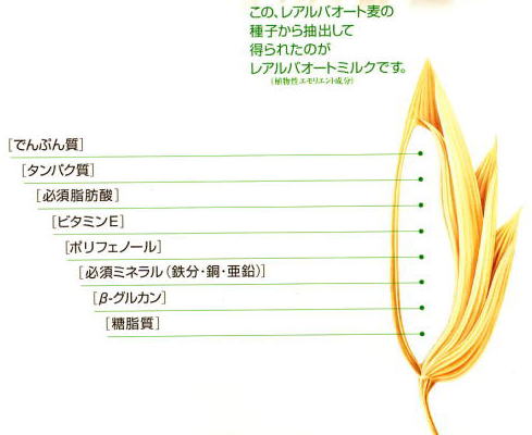レアルバオート麦の種子から抽出して得られたのがレアルバオートミルクです。植物性エモリエント成分