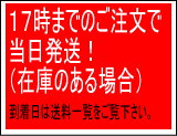 �������ޤǤΤ���ʸ������ȯ�����ʺ߸ˤΤ����������ͽ�����������������������